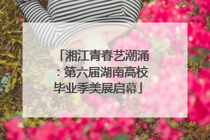 湘江青春艺潮涌：第六届湖南高校毕业季美展启幕