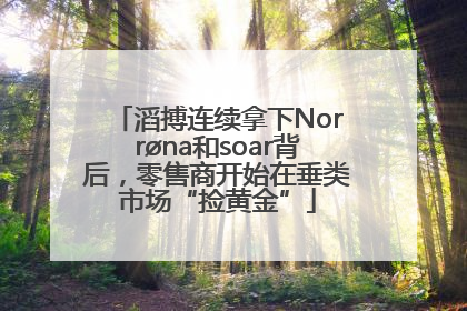 滔搏连续拿下Norrøna和soar背后，零售商开始在垂类市场“捡黄金”
