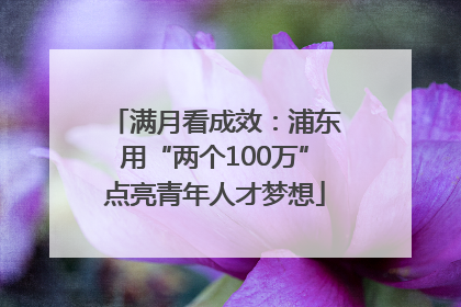 满月看成效：浦东用“两个100万”点亮青年人才梦想