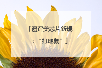 漫评美芯片新规：“打地鼠”