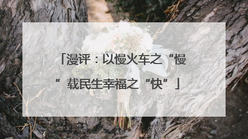 漫评：以慢火车之“慢”载民生幸福之“快”