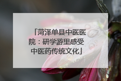 菏泽单县中医医院：研学游里感受中医药传统文化