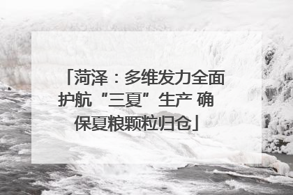 菏泽：多维发力全面护航“三夏”生产 确保夏粮颗粒归仓