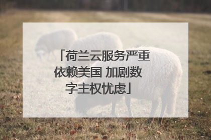 荷兰云服务严重依赖美国 加剧数字主权忧虑