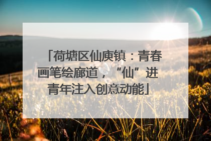 荷塘区仙庾镇：青春画笔绘廊道，“仙”进青年注入创意动能
