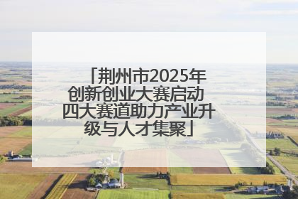荆州市2025年创新创业大赛启动 四大赛道助力产业升级与人才集聚