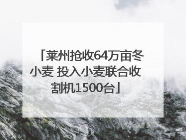 莱州抢收64万亩冬小麦 投入小麦联合收割机1500台