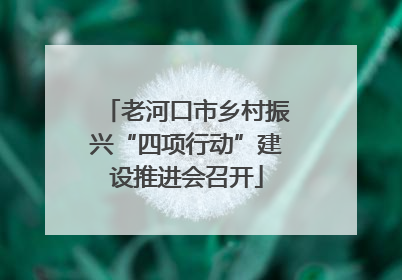 老河口市乡村振兴“四项行动”建设推进会召开