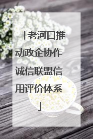 老河口推动政企协作诚信联盟信用评价体系