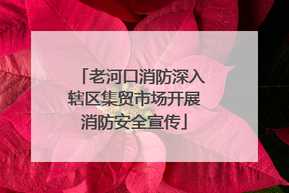 老河口消防深入辖区集贸市场开展消防安全宣传