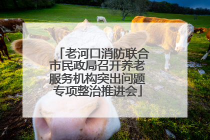 老河口消防联合市民政局召开养老服务机构突出问题专项整治推进会