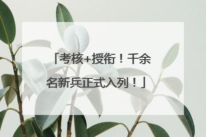 考核+授衔！千余名新兵正式入列！