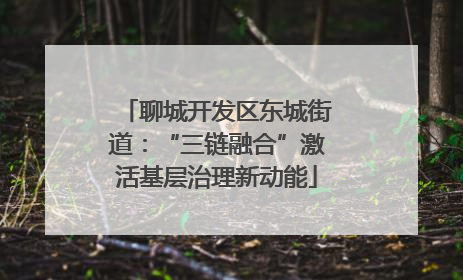 聊城开发区东城街道：“三链融合”激活基层治理新动能