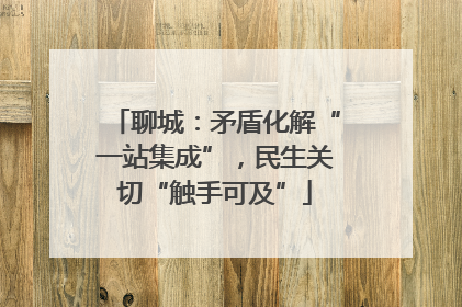 聊城：矛盾化解“一站集成”，民生关切“触手可及”
