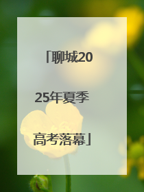 聊城2025年夏季高考落幕