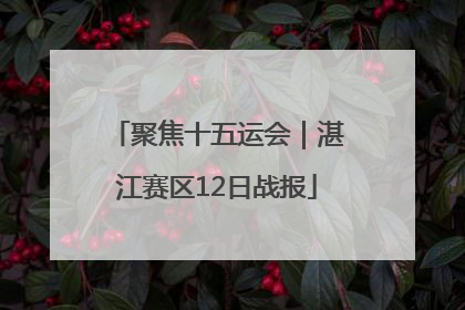 聚焦十五运会｜湛江赛区12日战报