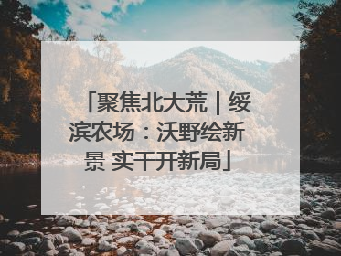 聚焦北大荒｜绥滨农场：沃野绘新景 实干开新局