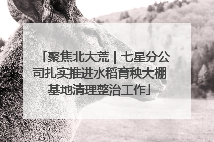 聚焦北大荒｜七星分公司扎实推进水稻育秧大棚基地清理整治工作