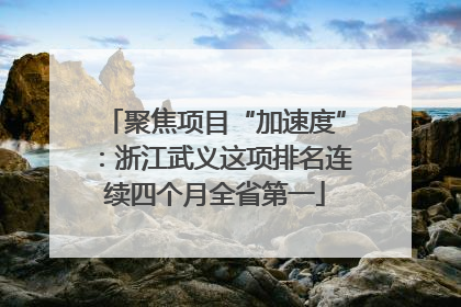 聚焦项目“加速度”：浙江武义这项排名连续四个月全省第一