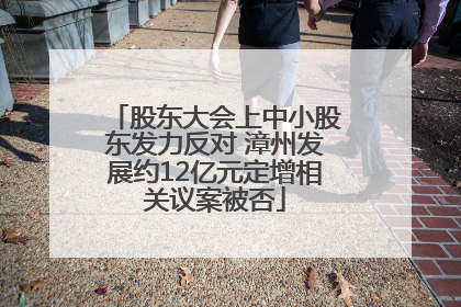 股东大会上中小股东发力反对 漳州发展约12亿元定增相关议案被否