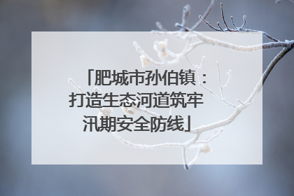 肥城市孙伯镇：打造生态河道筑牢汛期安全防线