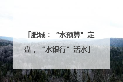 肥城：“水预算”定盘，“水银行”活水