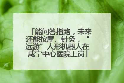 能问答指路，未来还能按摩、针灸，“远游”人形机器人在咸宁中心医院上岗