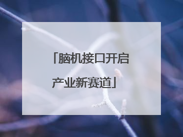脑机接口开启产业新赛道