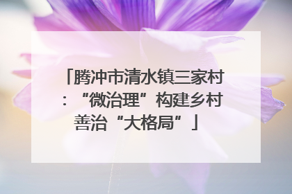 腾冲市清水镇三家村：“微治理”构建乡村善治“大格局”