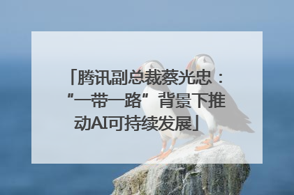 腾讯副总裁蔡光忠：“一带一路”背景下推动AI可持续发展
