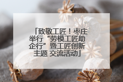 致敬工匠！枣庄举行“劳模工匠助企行”暨工匠创新主题 交流活动