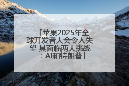 苹果2025年全球开发者大会令人失望 其面临两大挑战：AI和特朗普
