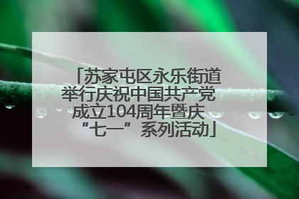 苏家屯区永乐街道举行庆祝中国共产党成立104周年暨庆“七一”系列活动