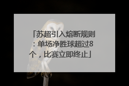 苏超引入熔断规则：单场净胜球超过8个，比赛立即终止