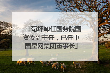 苟坪卸任国务院国资委副主任，已任中国星网集团董事长