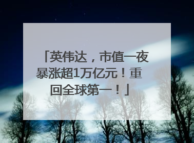 英伟达，市值一夜暴涨超1万亿元！重回全球第一！