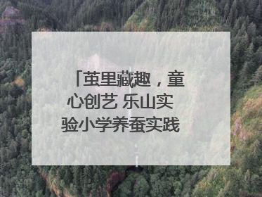 茧里藏趣，童心创艺 乐山实验小学养蚕实践绘就成长画卷