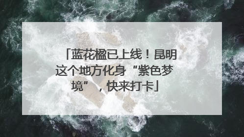 蓝花楹已上线！昆明这个地方化身“紫色梦境”，快来打卡