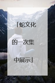 蛇文化的一次集中展示