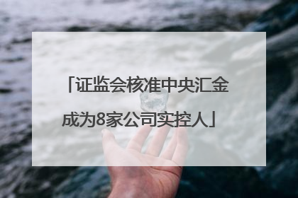 证监会核准中央汇金成为8家公司实控人