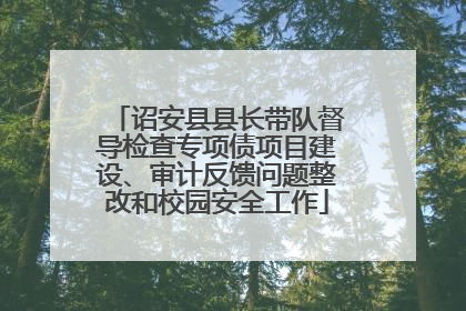 诏安县县长带队督导检查专项债项目建设、审计反馈问题整改和校园安全工作