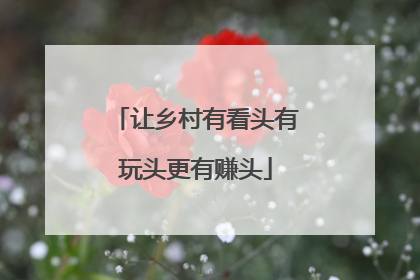 让乡村有看头有玩头更有赚头