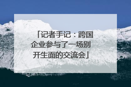 记者手记：跨国企业参与了一场别开生面的交流会