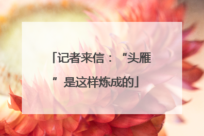 记者来信：“头雁”是这样炼成的