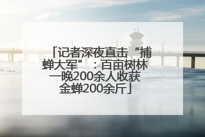 记者深夜直击“捕蝉大军”：百亩树林一晚200余人收获金蝉200余斤