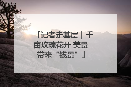 记者走基层｜千亩玫瑰花开 美景带来“钱景”