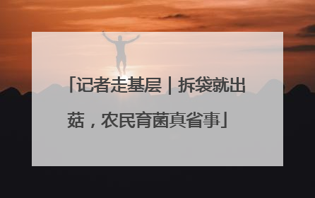 记者走基层｜拆袋就出菇，农民育菌真省事