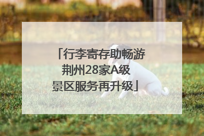行李寄存助畅游 荆州28家A级景区服务再升级