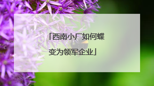 西南小厂如何蝶变为领军企业
