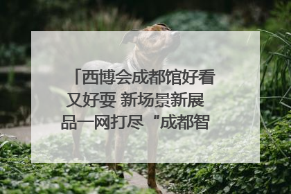 西博会成都馆好看又好耍 新场景新展品一网打尽“成都智造”｜西博视界